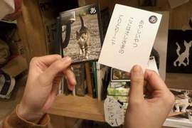 《貓咪50音紙牌》川 ̄ᴥ ̄川跟著貓咪學日文~輕鬆記好50音 《貓咪50音紙牌》川 ̄ᴥ ̄川跟著貓咪學日文~輕鬆記好50音