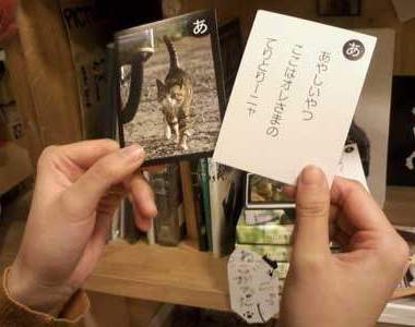 《貓咪50音紙牌》川 ̄ᴥ ̄川跟著貓咪學日文~輕鬆記好50音 《貓咪50音紙牌》川 ̄ᴥ ̄川跟著貓咪學日文~輕鬆記好50音
