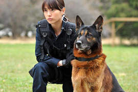 《DOG×POLICE》警察與警犬的羈絆是很深的~ 《DOG×POLICE》警察與警犬的羈絆是很深的~