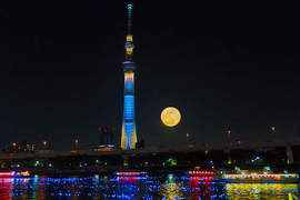 10萬顆LED燈漂流東京隅田川的奇蹟夜景♥ 10萬顆LED燈漂流東京隅田川的奇蹟夜景♥