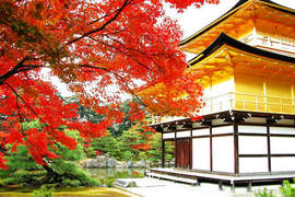《2013日本必訪觀光景點》外國人大推薦TOP5 《2013日本必訪觀光景點》外國人大推薦TOP5