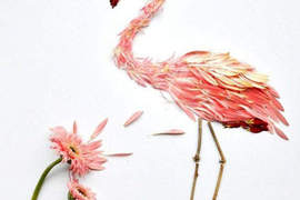 《花瓣鳥》風一吹鳥兒也會起飛? 《花瓣鳥》風一吹鳥兒也會起飛?