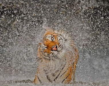 2012《國家地理雜誌攝影大賽》得獎優勝出爐 趕快來欣賞吧~ 2012《國家地理雜誌攝影大賽》得獎優勝出爐 趕快來欣賞吧~