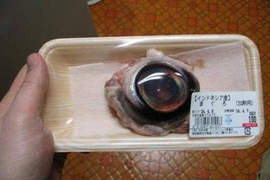 日本人口中極品《鮪魚眼晴》讓海外人士超驚嚇 日本人口中極品《鮪魚眼晴》讓海外人士超驚嚇