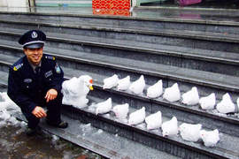 大陸《神人雪雕》竟然有草莓?! 大陸《神人雪雕》竟然有草莓?!