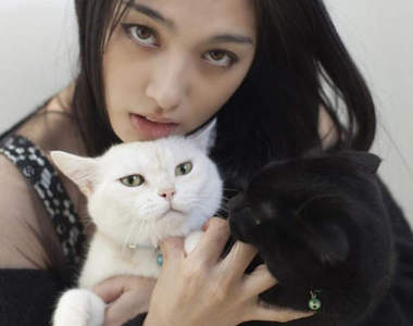 原紗央莉x松野井雅 再復出的她現在是位愛貓美女 原紗央莉x松野井雅 再復出的她現在是位愛貓美女