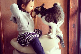 回顧2013《Instagram》寵物精選照片 回顧2013《Instagram》寵物精選照片