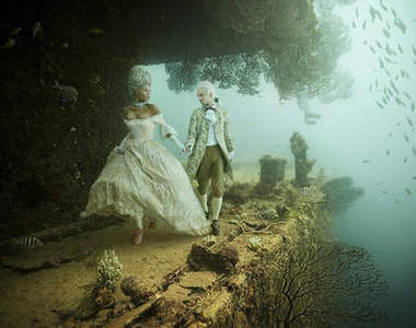 Andreas Franke《海底畫廊》趴兔~我也想在海底漫步 Andreas Franke《海底畫廊》趴兔~我也想在海底漫步