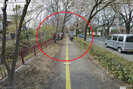 《日本Google街道奇景》那些鳥在眼睜睜的注視著你啊~~ 《日本Google街道奇景》那些鳥在眼睜睜的注視著你啊~~