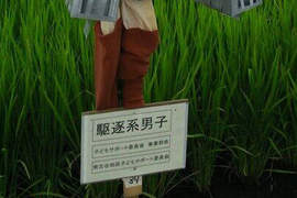 《驅逐系男子》這稻草人是想驅逐甚麼啦www 《驅逐系男子》這稻草人是想驅逐甚麼啦www