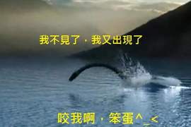 《尼斯湖水怪再現?》那黑黑長長的不明物體究竟是...... 《尼斯湖水怪再現?》那黑黑長長的不明物體究竟是......