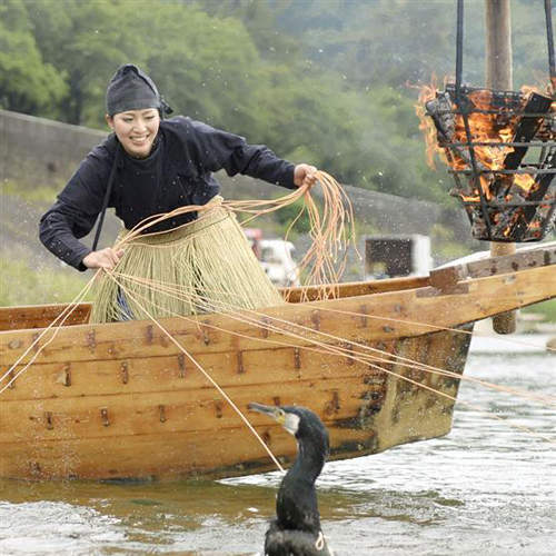 美女鵜匠《稻山琴美》鵜飼千年歷史中的極少數女性鵜匠 美女鵜匠《稻山琴美》鵜飼千年歷史中的極少數女性鵜匠