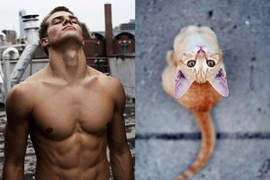 《猛男VS.喵喵》兩隻我都要>///<(抱) 《猛男VS.喵喵》兩隻我都要>///<(抱)