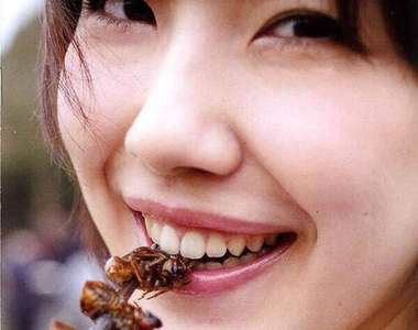 《昆蟲料理寫真集》哼!不要以為用正妹就可以騙到我吃蟲蟲 《昆蟲料理寫真集》哼!不要以為用正妹就可以騙到我吃蟲蟲