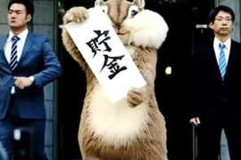 日本JA銀行廣告 花栗鼠代言人超可愛亂入你的生活 日本JA銀行廣告 花栗鼠代言人超可愛亂入你的生活