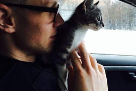 《冰島警察Instagram》都是動物跟食物有點萌萌噠(❛◡❛✿) 《冰島警察Instagram》都是動物跟食物有點萌萌噠(❛◡❛✿)