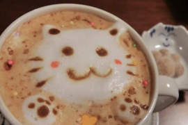 貓奴必見♥滿滿《貓咪料理》的超幸福空間「ねこまる茶房」 貓奴必見♥滿滿《貓咪料理》的超幸福空間「ねこまる茶房」