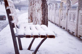 《隨手拍雪景》隨便一拍都好像一幅畫~ 《隨手拍雪景》隨便一拍都好像一幅畫~