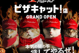 《必勝客貓店員》參上 所以貓店員外送的披薩也是肉球形狀嗎♥ 《必勝客貓店員》參上 所以貓店員外送的披薩也是肉球形狀嗎♥