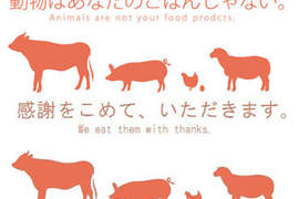 Twitter瘋《動物不是你XX》改版好好笑 Twitter瘋《動物不是你XX》改版好好笑