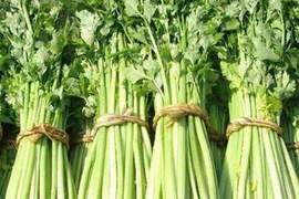 《奇葩年終獎》還真的是什麼都有...XDD 《奇葩年終獎》還真的是什麼都有...XDD