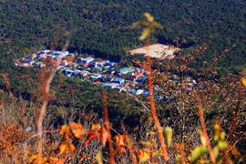 精進湖民宿村 富士山樹海當中安靜的一處世外桃源 精進湖民宿村 富士山樹海當中安靜的一處世外桃源