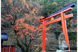 京都結緣神社《貴船神社》下雪和燈景顯得超夢幻 京都結緣神社《貴船神社》下雪和燈景顯得超夢幻