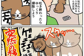 《貓的日常生活網漫》真實重現貓奴們水深火熱的生活www 《貓的日常生活網漫》真實重現貓奴們水深火熱的生活www