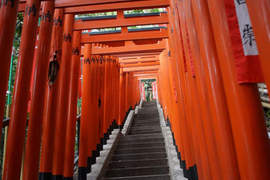 東京《千鳥居神社》一樣好有吸引力 東京《千鳥居神社》一樣好有吸引力