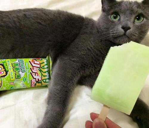 《青春口味冰棒》新發售　加熱融化也能找回青春嗎（大誤）