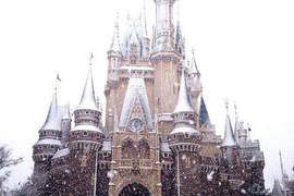 超夢幻《迪士尼雪景》再冷也想去親眼看看~ෆ◕ㅂ◕ෆ 超夢幻《迪士尼雪景》再冷也想去親眼看看~ෆ◕ㅂ◕ෆ