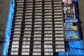 《日雅拍全套PS遊戲》3290款遊戲 簡直就是超級收藏... 《日雅拍全套PS遊戲》3290款遊戲 簡直就是超級收藏...