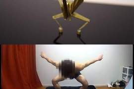 《真人版紙鶴舞》為什麼從這舞蹈中看到惡趣味的奸笑www 《真人版紙鶴舞》為什麼從這舞蹈中看到惡趣味的奸笑www