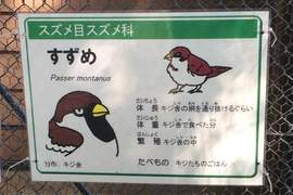 《動物園幽默介紹文》請小心會攻擊現充的大象www 《動物園幽默介紹文》請小心會攻擊現充的大象www