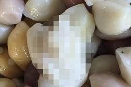 超有創意的韓國《松糕》這這這不是人XX嗎?(笑) 超有創意的韓國《松糕》這這這不是人XX嗎?(笑)