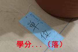 《爆笑七夕短冊》才剛掛上願望竟然就掉惹wwww(淚笑) 《爆笑七夕短冊》才剛掛上願望竟然就掉惹wwww(淚笑)