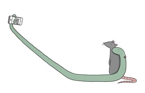 辛辣幽默的《動物對話》詼諧動物全出自辛普森家族動畫師之手