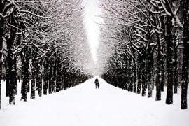 《夢幻般的白銀世界》來自世界各地的雪景照片集 《夢幻般的白銀世界》來自世界各地的雪景照片集