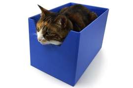 《Boxy Bed》貓咪絕對會進去的貓床誕生了www 《Boxy Bed》貓咪絕對會進去的貓床誕生了www