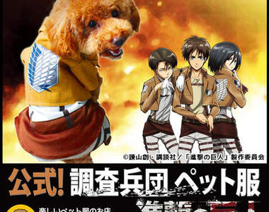 進擊的巨人《狗狗的調查兵團服裝》對狗狗們來說我們應該是巨人吧(笑) 進擊的巨人《狗狗的調查兵團服裝》對狗狗們來說我們應該是巨人吧(笑)