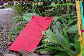 讓日本人震驚的《台灣紅包袋禁忌》結果很多台灣人也都不知道? 讓日本人震驚的《台灣紅包袋禁忌》結果很多台灣人也都不知道?