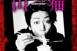 緊急通緝《怪盜山貓》龜梨和也×成宮寬貴×廣瀨鈴冬季日劇初合演 緊急通緝《怪盜山貓》龜梨和也×成宮寬貴×廣瀨鈴冬季日劇初合演