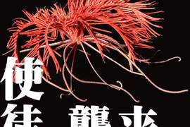 《使徒襲來注意報》海百合在海中游泳的樣子太讓人頭皮發毛了 《使徒襲來注意報》海百合在海中游泳的樣子太讓人頭皮發毛了