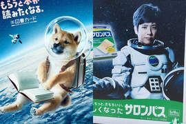 《二宮和也與柴犬的相似度》所以家裡有柴犬也等於有二宮和也囉XD 《二宮和也與柴犬的相似度》所以家裡有柴犬也等於有二宮和也囉XD