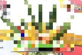 《超前衛藝術料理》這到底是插花還是在放煙火www 《超前衛藝術料理》這到底是插花還是在放煙火www