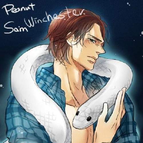 第十三星座《蛇夫座擬人化》現在換星座來得及嗎？