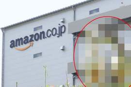 日本Amazon《期間限定除草機》今年再次出動也是寵兒 日本Amazon《期間限定除草機》今年再次出動也是寵兒