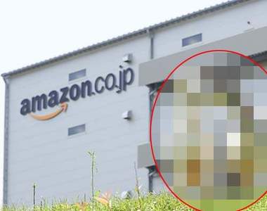 日本Amazon《期間限定除草機》今年再次出動也是寵兒 日本Amazon《期間限定除草機》今年再次出動也是寵兒