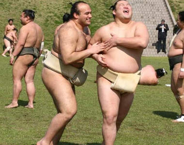 少女感超重的《日本相撲協會》這肉肉樂園裡的一切未免也太歡樂惹吧ww 少女感超重的《日本相撲協會》這肉肉樂園裡的一切未免也太歡樂惹吧ww