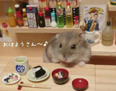 《倉鼠居酒屋》店長銀次辭世 為倉鼠兄弟祈禱走出傷痛…… 《倉鼠居酒屋》店長銀次辭世 為倉鼠兄弟祈禱走出傷痛……